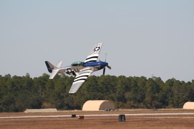 - Warbird