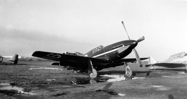- Warbird