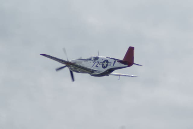 - Warbird