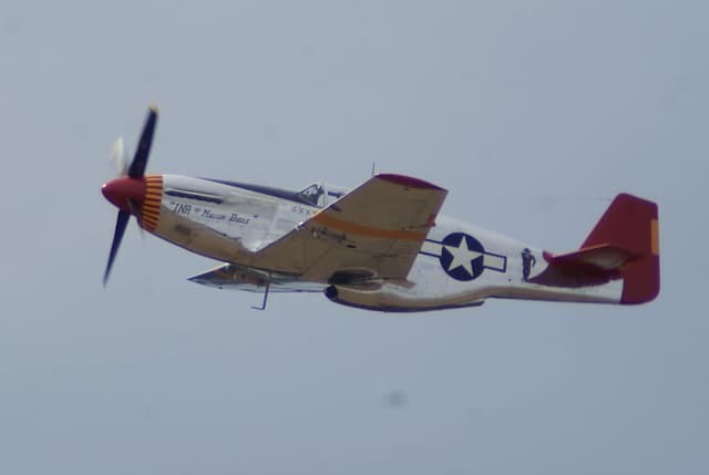- Warbird