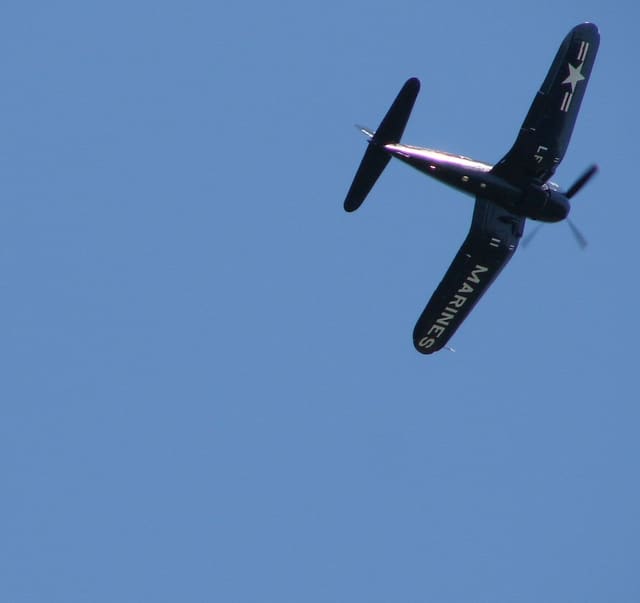 - Warbird