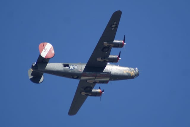 - Warbird