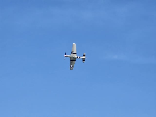 - Warbird