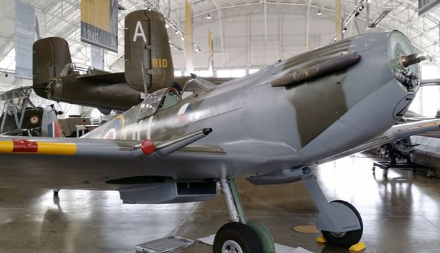 - Warbird