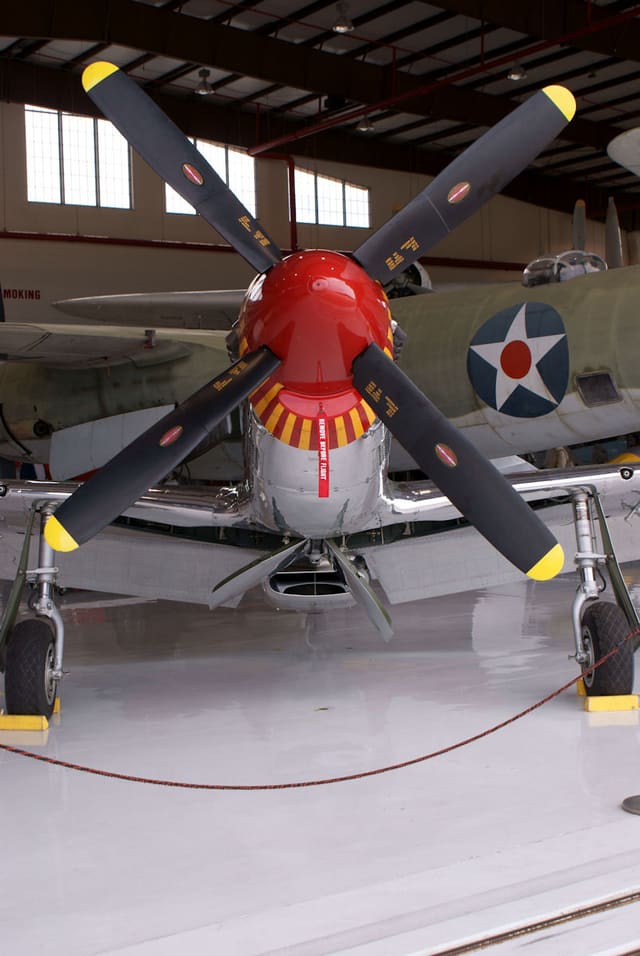 - Warbird