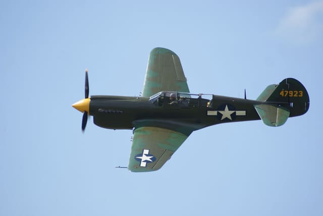 - Warbird