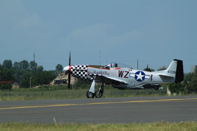 - Warbird