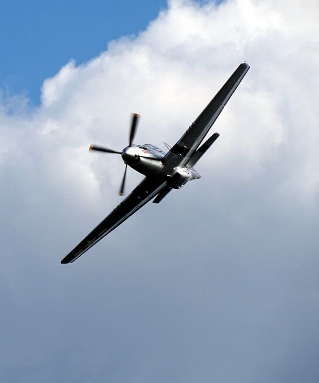- Warbird