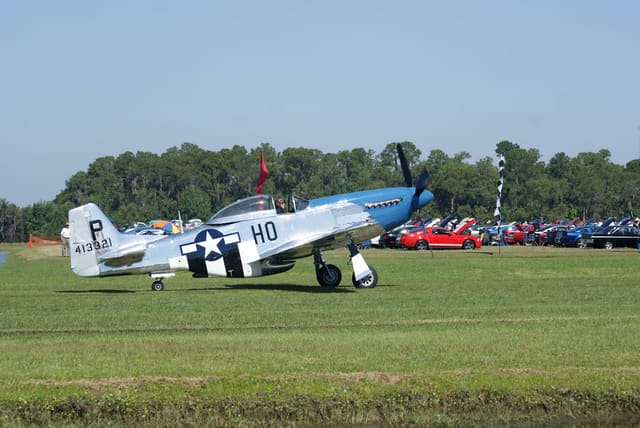 - Warbird