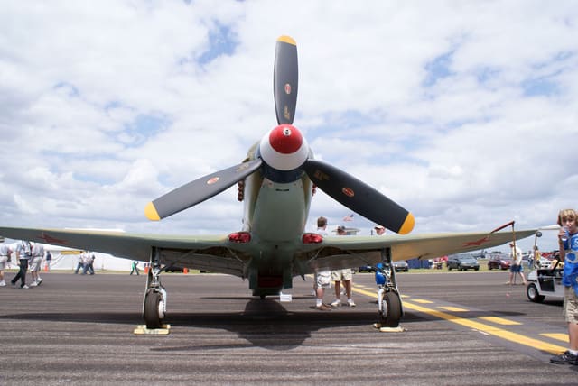 - Warbird