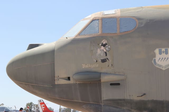 - Warbird