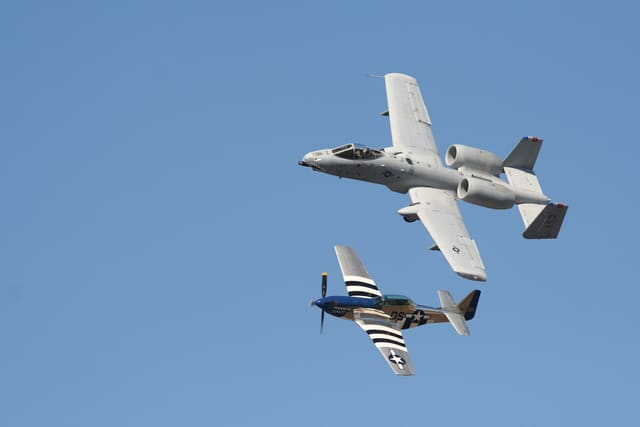 - Warbird