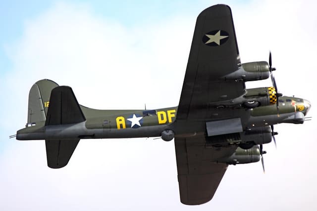 - Warbird