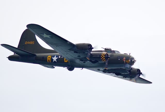 - Warbird