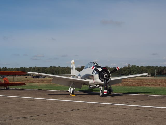 - Warbird