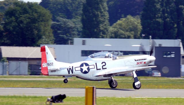- Warbird