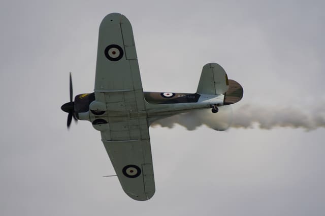 - Warbird