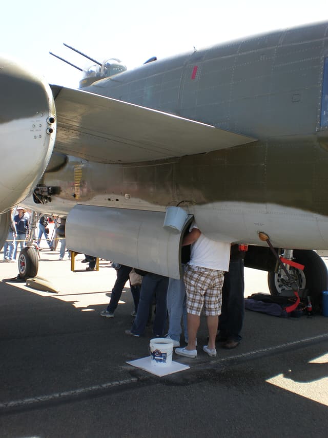 - Warbird