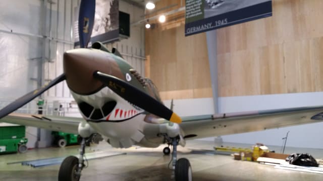 - Warbird