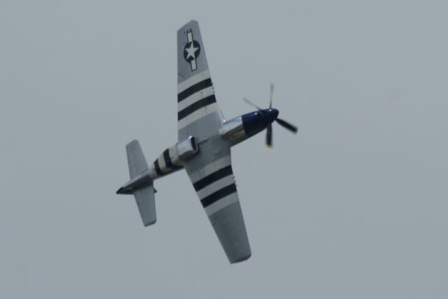 - Warbird
