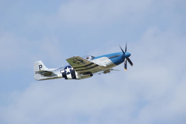 - Warbird