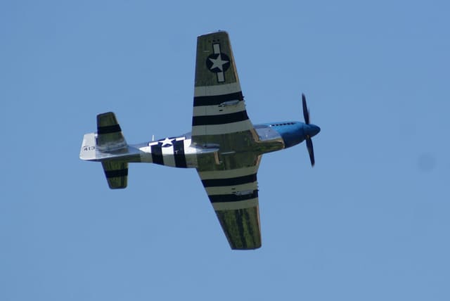 - Warbird