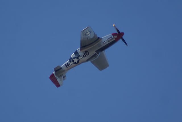 - Warbird
