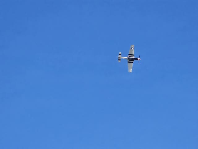 - Warbird
