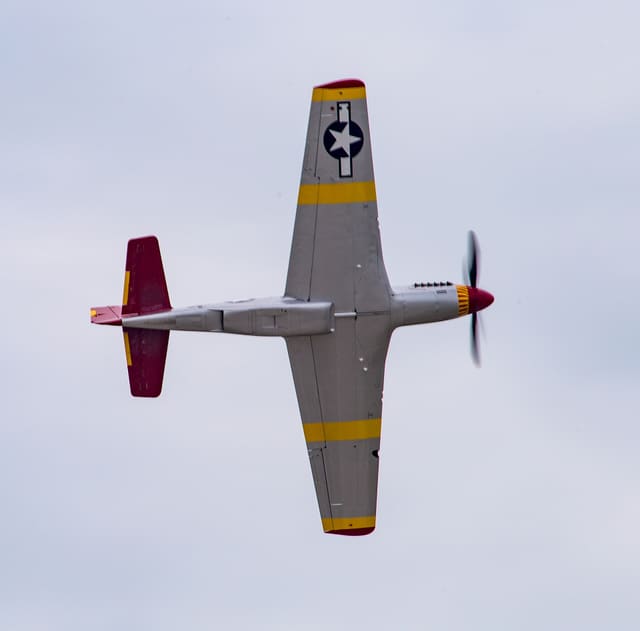 - Warbird