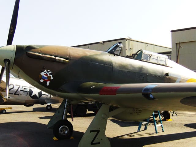 - Warbird