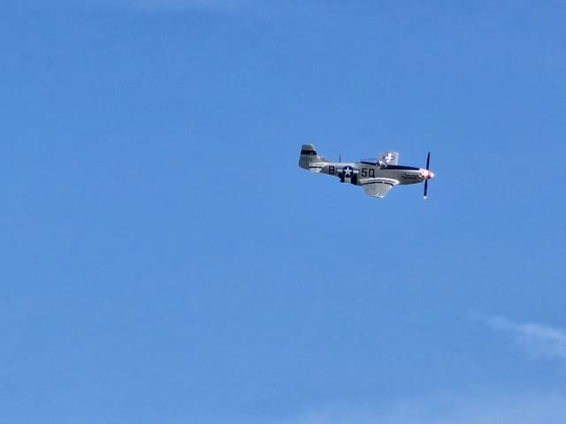 - Warbird
