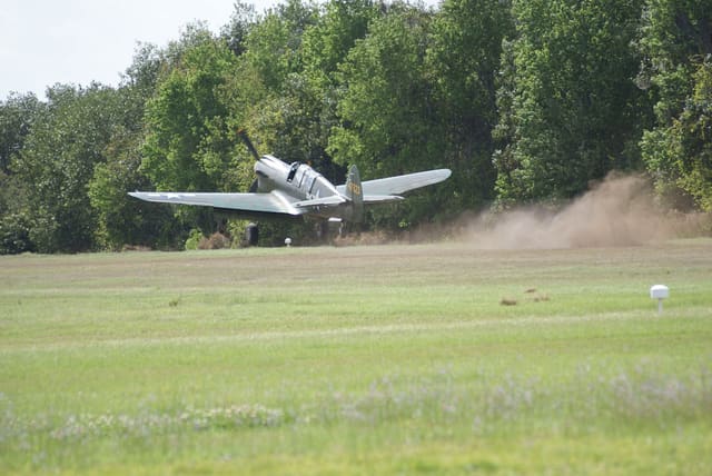 - Warbird