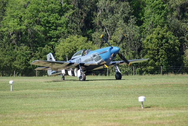 - Warbird