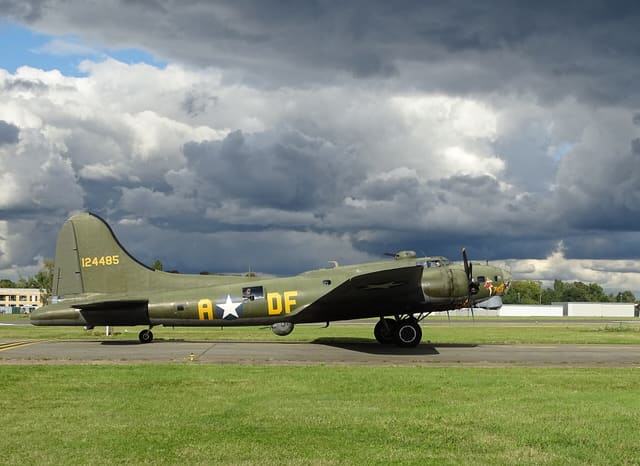 - Warbird