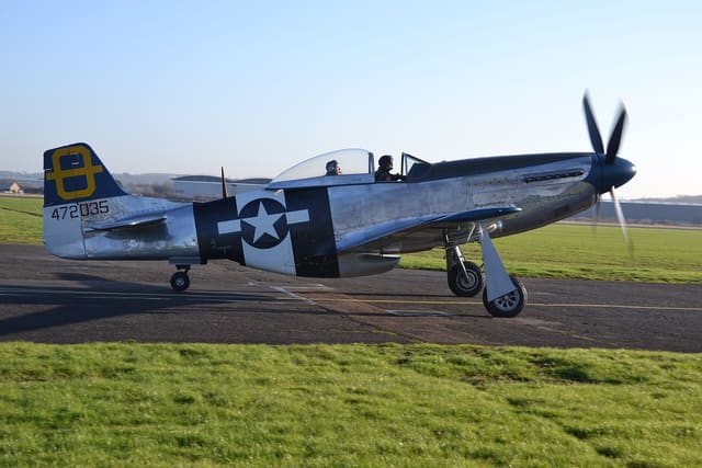 - Warbird