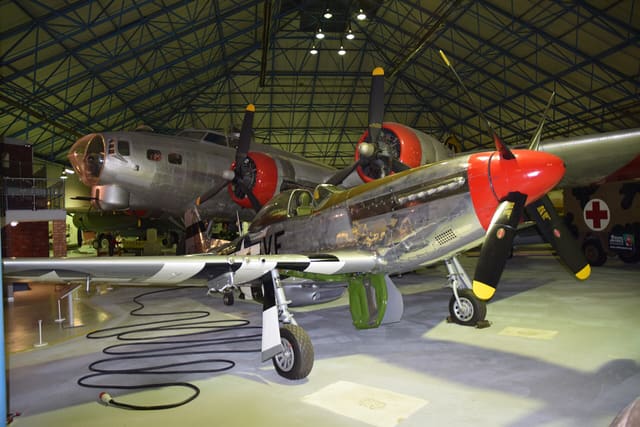 - Warbird