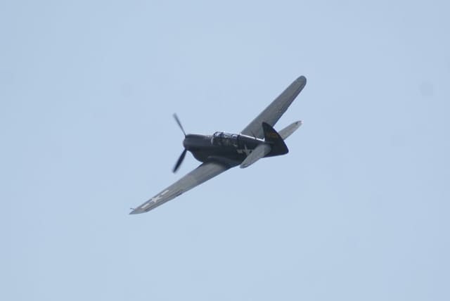 - Warbird