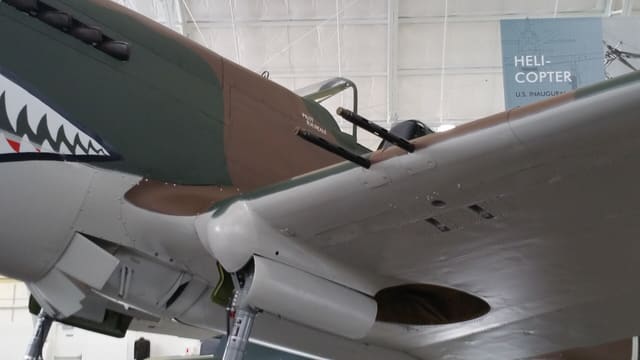 - Warbird