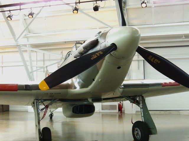 - Warbird