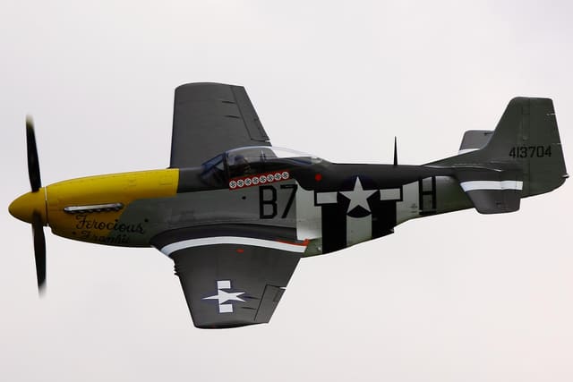 - Warbird