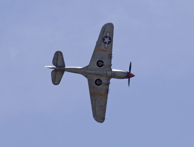 - Warbird