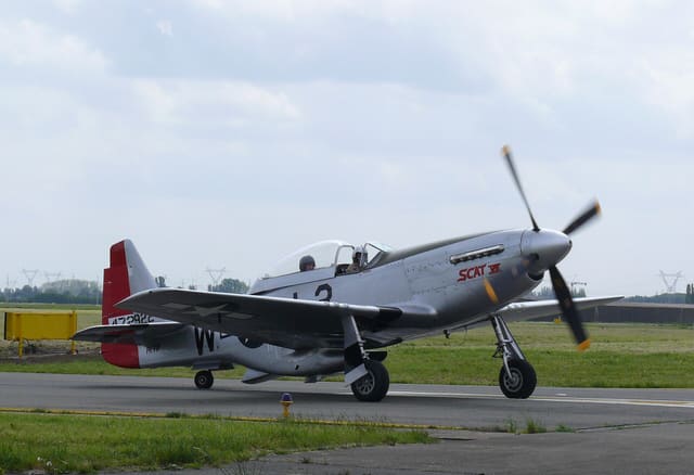 - Warbird
