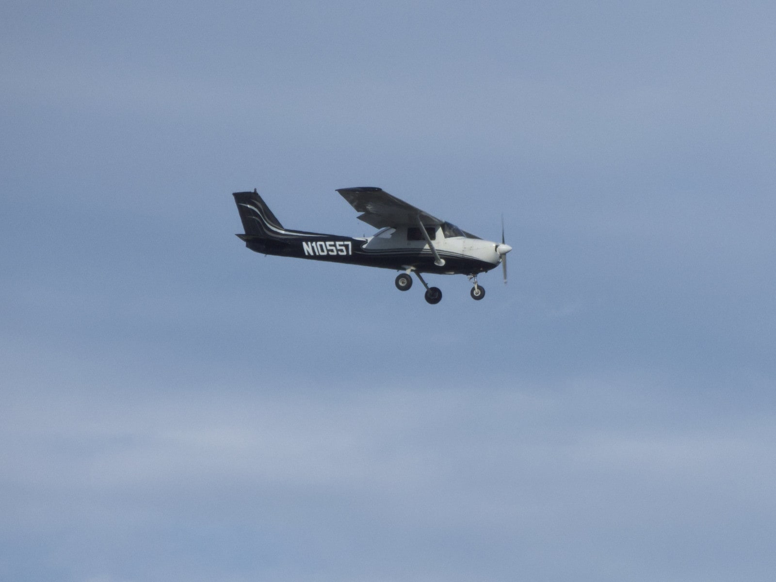 Farhill's best shot — N10557