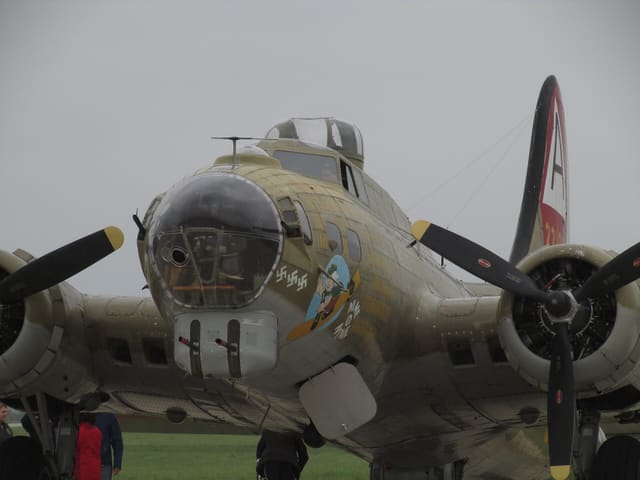 - Warbird