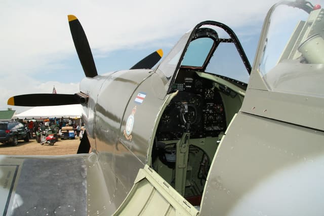 - Warbird