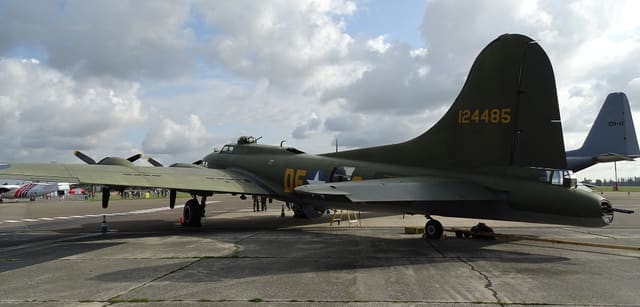 - Warbird