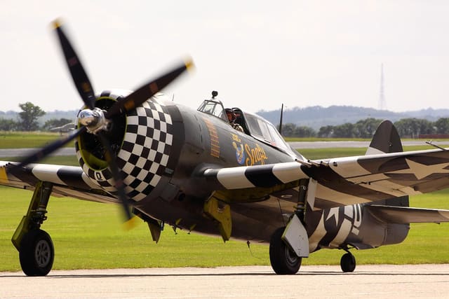 - Warbird