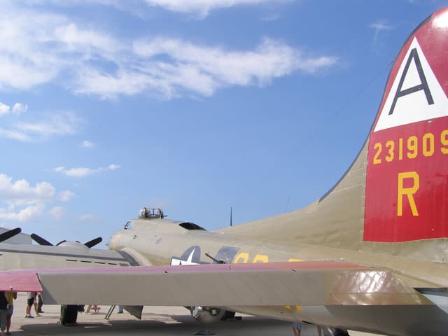- Warbird