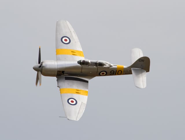 - Warbird