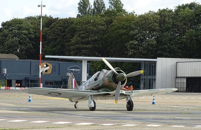 - Warbird
